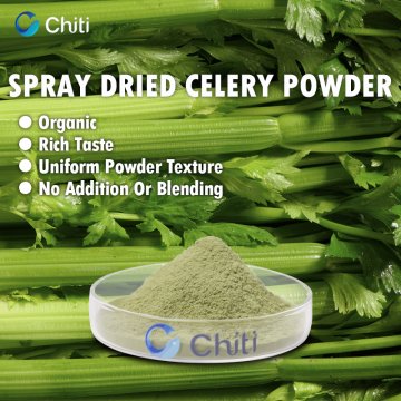 Spray-Dried Celery Powder - A Pure And Natural Healthy Ingredient