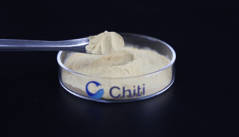 Chiti Yeast Extract