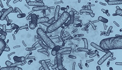 "Co-fermentation" postbiotics - not just a simple mix