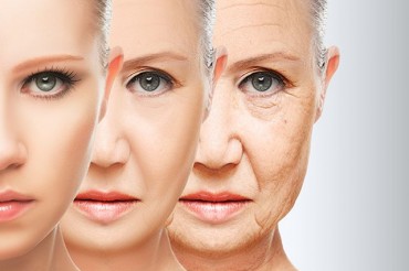 Collagen peptide is anti-aging