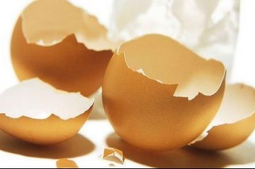 Eggshell membrane