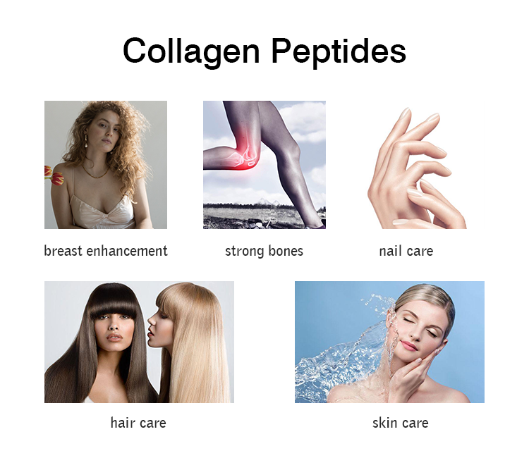 collagen peptide